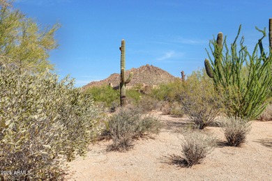 See this spectacular custom home in Glenn Moor at Troon Village on Troon Country Club in Arizona - for sale on GolfHomes.com, golf home, golf lot
