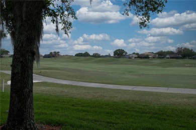 Golf course views in Grasslands, a gated country club community on Grasslands Golf and Country Club in Florida - for sale on GolfHomes.com, golf home, golf lot