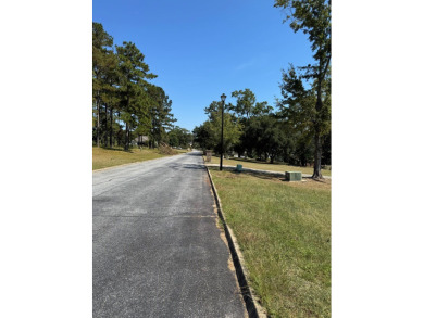 Build Your Dream Home on Lake Eufaula! Welcome to your slice of on Red Eagle Golf Course in Alabama - for sale on GolfHomes.com, golf home, golf lot