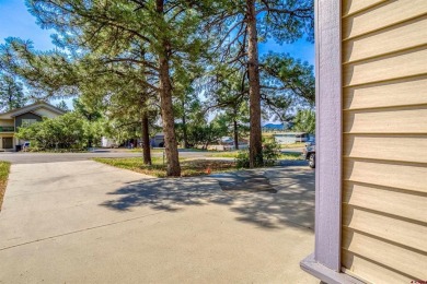 Blue Pitcher Lindner, Jann C Pitcher Real Estate, C: , blue,  : on Pagosa Springs Golf Club in Colorado - for sale on GolfHomes.com, golf home, golf lot