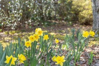 Enjoy sweeping views of Lake Soquilla and Hogback Mountain from on Burlingame Country Club in North Carolina - for sale on GolfHomes.com, golf home, golf lot