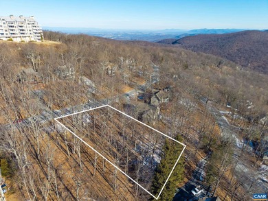 This gorgeous .40 acre lot has the potential for stunning year on Devils Knob in Virginia - for sale on GolfHomes.com, golf home, golf lot