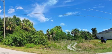 Approximately 80 ft. of canal frontage on the New London on Bobcat Trail Golf Club in Florida - for sale on GolfHomes.com, golf home, golf lot