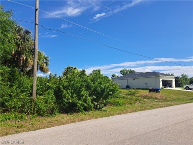 Approximately 80 ft. of canal frontage on the New London on Bobcat Trail Golf Club in Florida - for sale on GolfHomes.com, golf home, golf lot