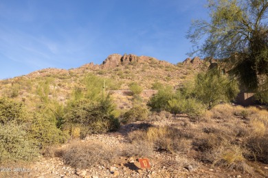 Nestled in a serene, gated community on a elevated lot on Gold Canyon Golf Resort - Dinosaur Mountain in Arizona - for sale on GolfHomes.com, golf home, golf lot