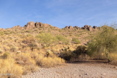 Nestled in a serene, gated community on a elevated lot on Gold Canyon Golf Resort - Dinosaur Mountain in Arizona - for sale on GolfHomes.com, golf home, golf lot