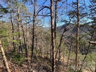 Build your dream home on this beautiful wooded lot with view of on Springdale Golf - Country Club in North Carolina - for sale on GolfHomes.com, golf home, golf lot