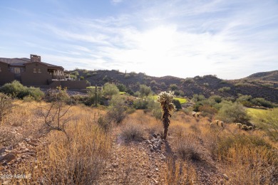 Nestled in a serene, gated community on a elevated lot on Gold Canyon Golf Resort - Dinosaur Mountain in Arizona - for sale on GolfHomes.com, golf home, golf lot