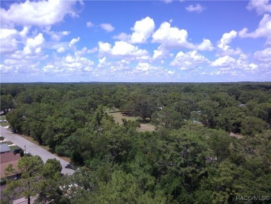 Discover the charm of living in the beautiful Sugar Mill Woods on Sugarmill Woods Golf and Country Club in Florida - for sale on GolfHomes.com, golf home, golf lot