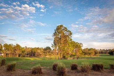 Step into your own paradise with this stunning 4-bedroom on Highlands Reserve Golf Club in Florida - for sale on GolfHomes.com, golf home, golf lot