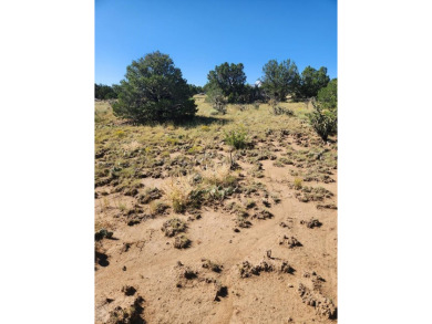 Beautiful 2.66 acre parcel on private cul de sac, with room to on Walsenburg Golf Club in Colorado - for sale on GolfHomes.com, golf home, golf lot