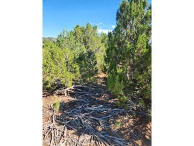 Beautiful 2.66 acre parcel on private cul de sac, with room to on Walsenburg Golf Club in Colorado - for sale on GolfHomes.com, golf home, golf lot