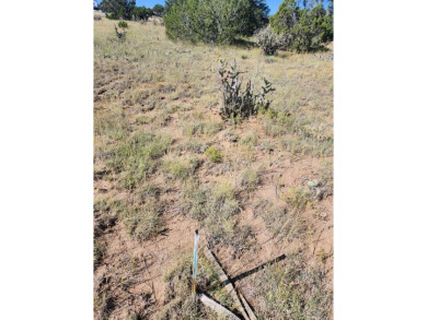 Beautiful 2.66 acre parcel on private cul de sac, with room to on Walsenburg Golf Club in Colorado - for sale on GolfHomes.com, golf home, golf lot