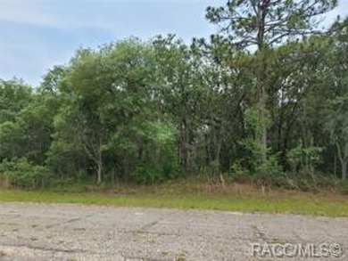 Wonderful Lot With .28 Acres Of Land. Peaceful Area. Lot Is on Pine Ridge Community Golf and Country Club in Florida - for sale on GolfHomes.com, golf home, golf lot