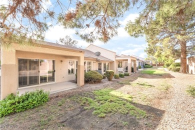 THIS STUNNING AGE RESTRICTED TWO BEDROOM SINGLE STORY HOME IN on Desert Willow Golf Course in Nevada - for sale on GolfHomes.com, golf home, golf lot