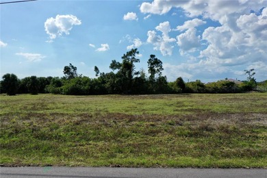 Discover the perfect canvas for your Florida dream home on this on Rotonda Golf and Country Club - Long Marsh  in Florida - for sale on GolfHomes.com, golf home, golf lot