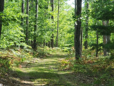 GOT LAND? Just in time for Hunting Season! These 10 acres are on White Pine National Golf Resort in Michigan - for sale on GolfHomes.com, golf home, golf lot