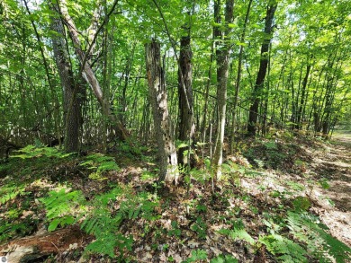 GOT LAND? Just in time for Hunting Season! These 10 acres are on White Pine National Golf Resort in Michigan - for sale on GolfHomes.com, golf home, golf lot