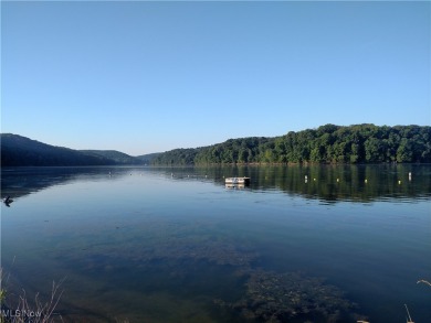 This spectacular Lake View Cabin is located in the Heart of on Pleasant Hill Golf Course in Ohio - for sale on GolfHomes.com, golf home, golf lot