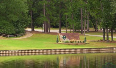 Spacious, Updated Home with HUGE Shop on Rare Triple Lot in on Holly Lake Ranch Golf Club in Texas - for sale on GolfHomes.com, golf home, golf lot