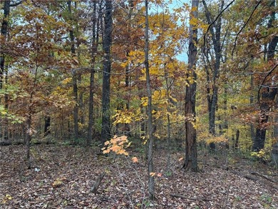 Build your dream home in the heart of the Ozarks with this on Bella Vista - Metfield Golf Complex and Country Club in Arkansas - for sale on GolfHomes.com, golf home, golf lot