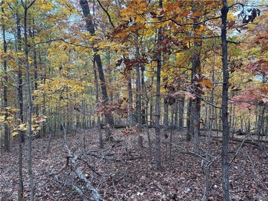 Build your dream home in the heart of the Ozarks with this on Bella Vista - Metfield Golf Complex and Country Club in Arkansas - for sale on GolfHomes.com, golf home, golf lot