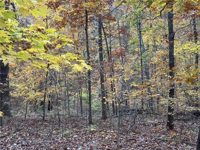 Build your dream home in the heart of the Ozarks with this on Bella Vista - Metfield Golf Complex and Country Club in Arkansas - for sale on GolfHomes.com, golf home, golf lot