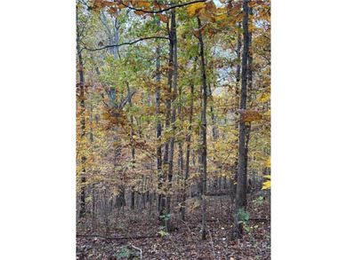 Build your dream home in the heart of the Ozarks with this on Bella Vista - Metfield Golf Complex and Country Club in Arkansas - for sale on GolfHomes.com, golf home, golf lot