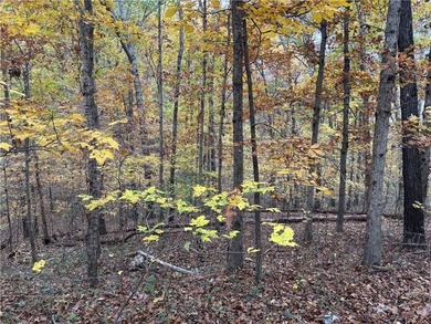 Build your dream home in the heart of the Ozarks with this on Bella Vista - Metfield Golf Complex and Country Club in Arkansas - for sale on GolfHomes.com, golf home, golf lot