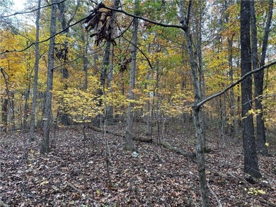 Build your dream home in the heart of the Ozarks with this on Bella Vista - Metfield Golf Complex and Country Club in Arkansas - for sale on GolfHomes.com, golf home, golf lot