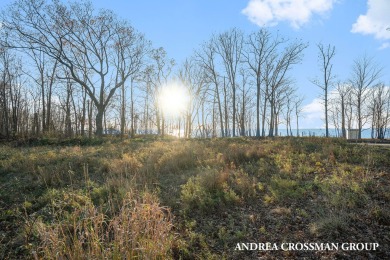 Build your new home with Lake Michigan views in a quiet, natural on Glenn Shores Golf Course in Michigan - for sale on GolfHomes.com, golf home, golf lot