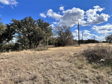 Amazing views overlooking Lake Bronwood an just across the road on Hideout Golf Club and Resort  in Texas - for sale on GolfHomes.com, golf home, golf lot