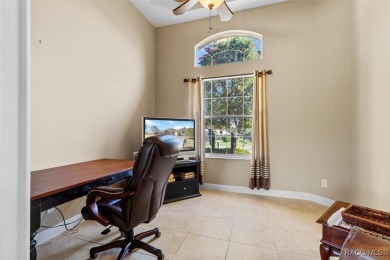 A dedicated four-bedroom pool home with an unbelievable golf on Skyview At Terra Vista Golf and Country Club in Florida - for sale on GolfHomes.com, golf home, golf lot