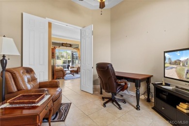 A dedicated four-bedroom pool home with an unbelievable golf on Skyview At Terra Vista Golf and Country Club in Florida - for sale on GolfHomes.com, golf home, golf lot