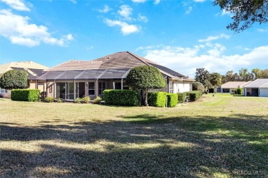 A dedicated four-bedroom pool home with an unbelievable golf on Skyview At Terra Vista Golf and Country Club in Florida - for sale on GolfHomes.com, golf home, golf lot