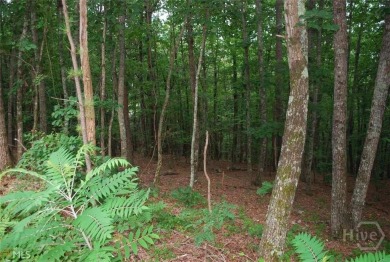 Build your dream home with a basement on this 1.55 acre lot on The Orchard Golf and Country Club in Georgia - for sale on GolfHomes.com, golf home, golf lot