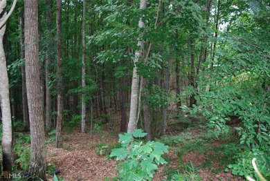 Build your dream home with a basement on this 1.55 acre lot on The Orchard Golf and Country Club in Georgia - for sale on GolfHomes.com, golf home, golf lot