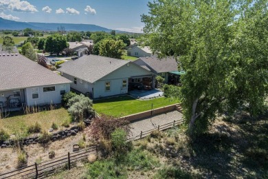 Welcome to 217 1/2 Dream Street in beautiful Grand on Chipeta Golf Course At Orchard Mesa in Colorado - for sale on GolfHomes.com, golf home, golf lot