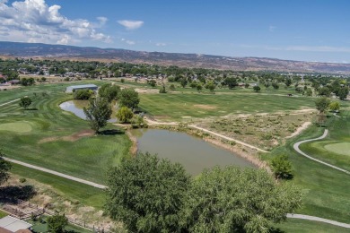 Welcome to 217 1/2 Dream Street in beautiful Grand on Chipeta Golf Course At Orchard Mesa in Colorado - for sale on GolfHomes.com, golf home, golf lot