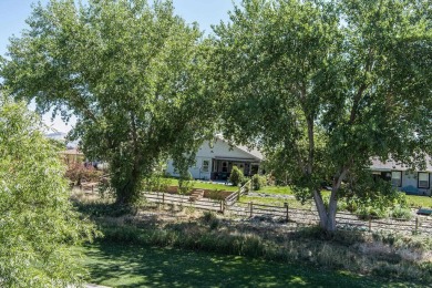 Welcome to 217 1/2 Dream Street in beautiful Grand on Chipeta Golf Course At Orchard Mesa in Colorado - for sale on GolfHomes.com, golf home, golf lot