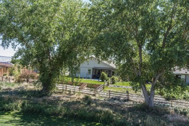 Welcome to 217 1/2 Dream Street in beautiful Grand on Chipeta Golf Course At Orchard Mesa in Colorado - for sale on GolfHomes.com, golf home, golf lot
