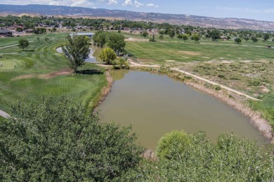 Welcome to 217 1/2 Dream Street in beautiful Grand on Chipeta Golf Course At Orchard Mesa in Colorado - for sale on GolfHomes.com, golf home, golf lot