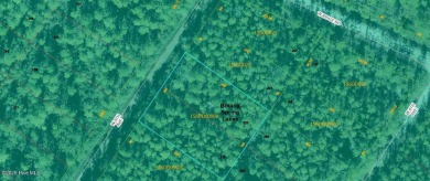745-acre wooded parcel located in Boiling Spring Lakes. Zoned on The Lakes Country Club in North Carolina - for sale on GolfHomes.com, golf home, golf lot