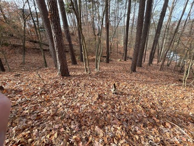 Come build your dream home at Lake Wylie! Unique lot set further on Tega Cay Golf Club in South Carolina - for sale on GolfHomes.com, golf home, golf lot