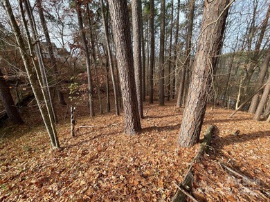 Come build your dream home at Lake Wylie! Unique lot set further on Tega Cay Golf Club in South Carolina - for sale on GolfHomes.com, golf home, golf lot