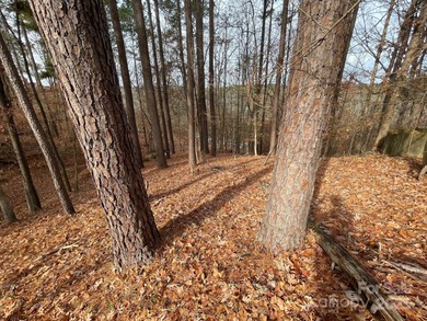 Come build your dream home at Lake Wylie! Unique lot set further on Tega Cay Golf Club in South Carolina - for sale on GolfHomes.com, golf home, golf lot