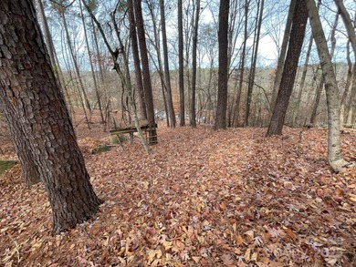 Come build your dream home at Lake Wylie! Unique lot set further on Tega Cay Golf Club in South Carolina - for sale on GolfHomes.com, golf home, golf lot