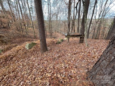 Come build your dream home at Lake Wylie! Unique lot set further on Tega Cay Golf Club in South Carolina - for sale on GolfHomes.com, golf home, golf lot