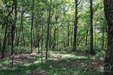 5 acre buildable lot on Disharoon Mountain with spectacular on Big Canoe Golf Club - Cherokee in Georgia - for sale on GolfHomes.com, golf home, golf lot