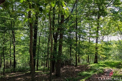 5 acre buildable lot on Disharoon Mountain with spectacular on Big Canoe Golf Club - Cherokee in Georgia - for sale on GolfHomes.com, golf home, golf lot